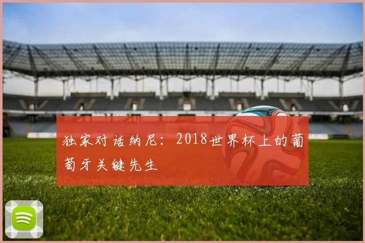 独家对话纳尼：2018世界杯上的葡萄牙关键先生