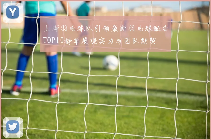 上海羽毛球队引领最新羽毛球配合TOP10榜单展现实力与团队默契
